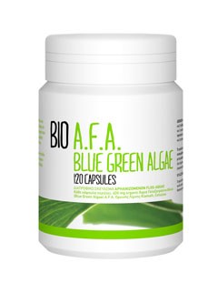 Blue Green Algae